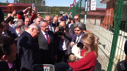 Tepeören Hayvan Barınağı açıldı (2) - İSTANBUL