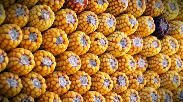 Sistelo,Arcos de Valdevez