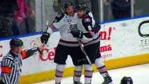 Brampton Beast 2 Kalamazoo Wings 1