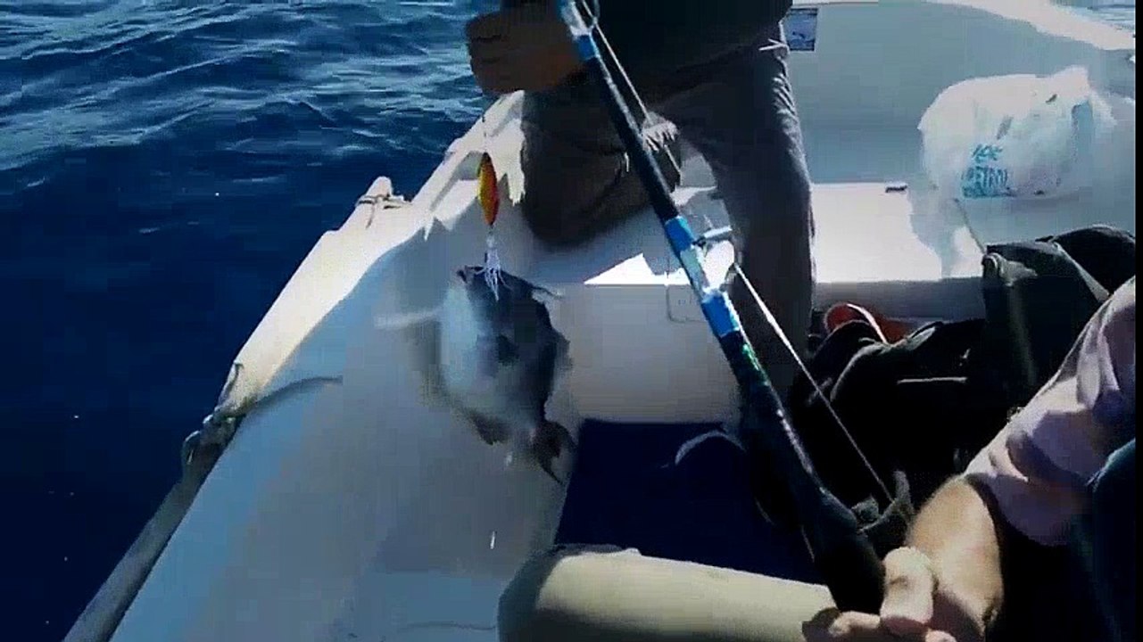 DOMUZ BALIĞI | Kalkan kardeşler jigging videoları
