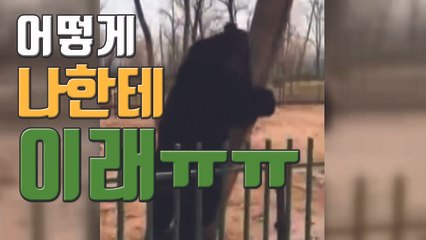 [자막뉴스] "어떻게 나한테 이래"...과자 하나에 삐친 곰 / YTN