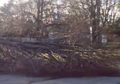 High Winds Bring Down Trees and Power Lines in South Brunswick