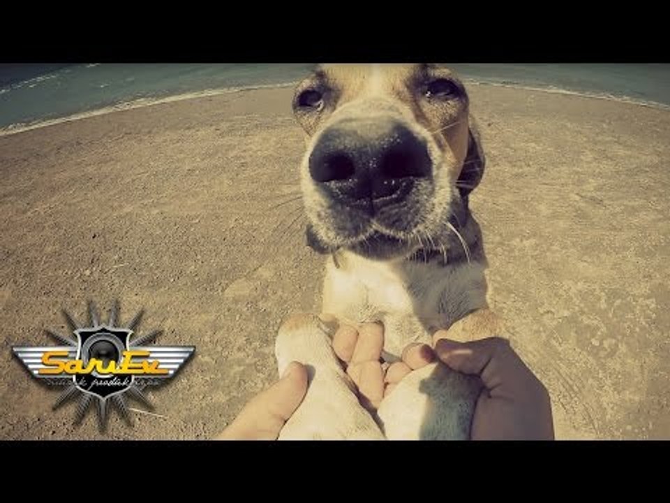 Fırat Akarsel - Ölmem Derdimden