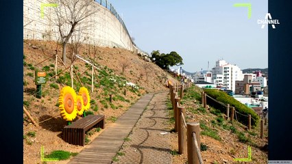 [더깊은뉴스]‘투잡족’ 울고 갈 ‘N잡러’를 아시나요