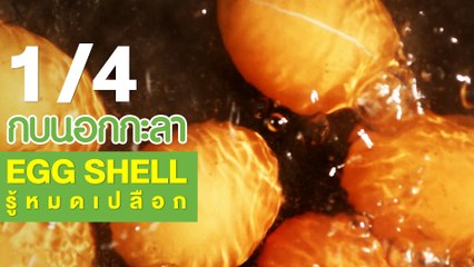 กบนอกกะลา : EGG SHELL รู้หมดเปลือก ช่วงที่ 1/4 (5 เม.ย.61)