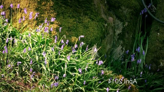 Grand Designs S14E04 County Londonderry The Shipping Containers House