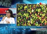 Mitos dan Fakta Buah dan Minyak Zaitun