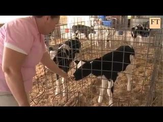 Gas industry transforming rural America