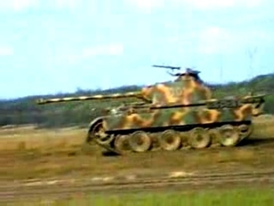 Panther