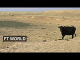 US farming still reeling from drought
