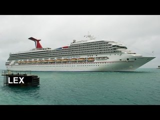 Carnival issues profit warning