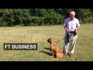 Talking to the animals