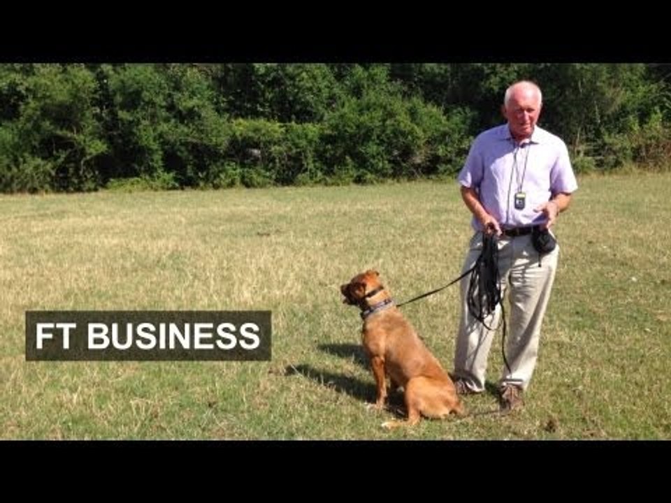 Talking to the animals