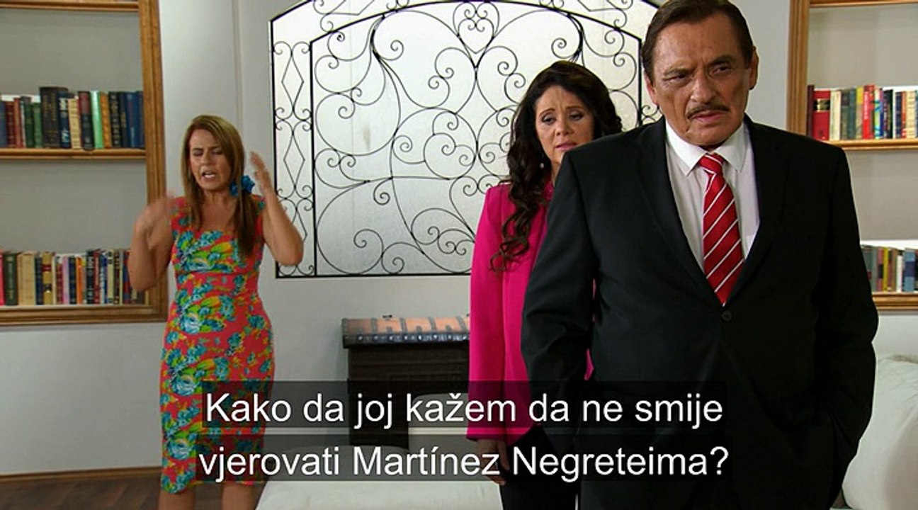 DIVLJA MACKA - 95.