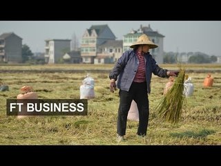 Chinese farmers cash in on ecommerce | FT Business