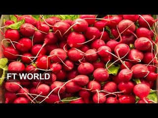 US agriculture: radishes to the rescue