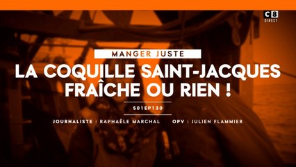 La coquille Saint-Jacques Fraîche ou rien !