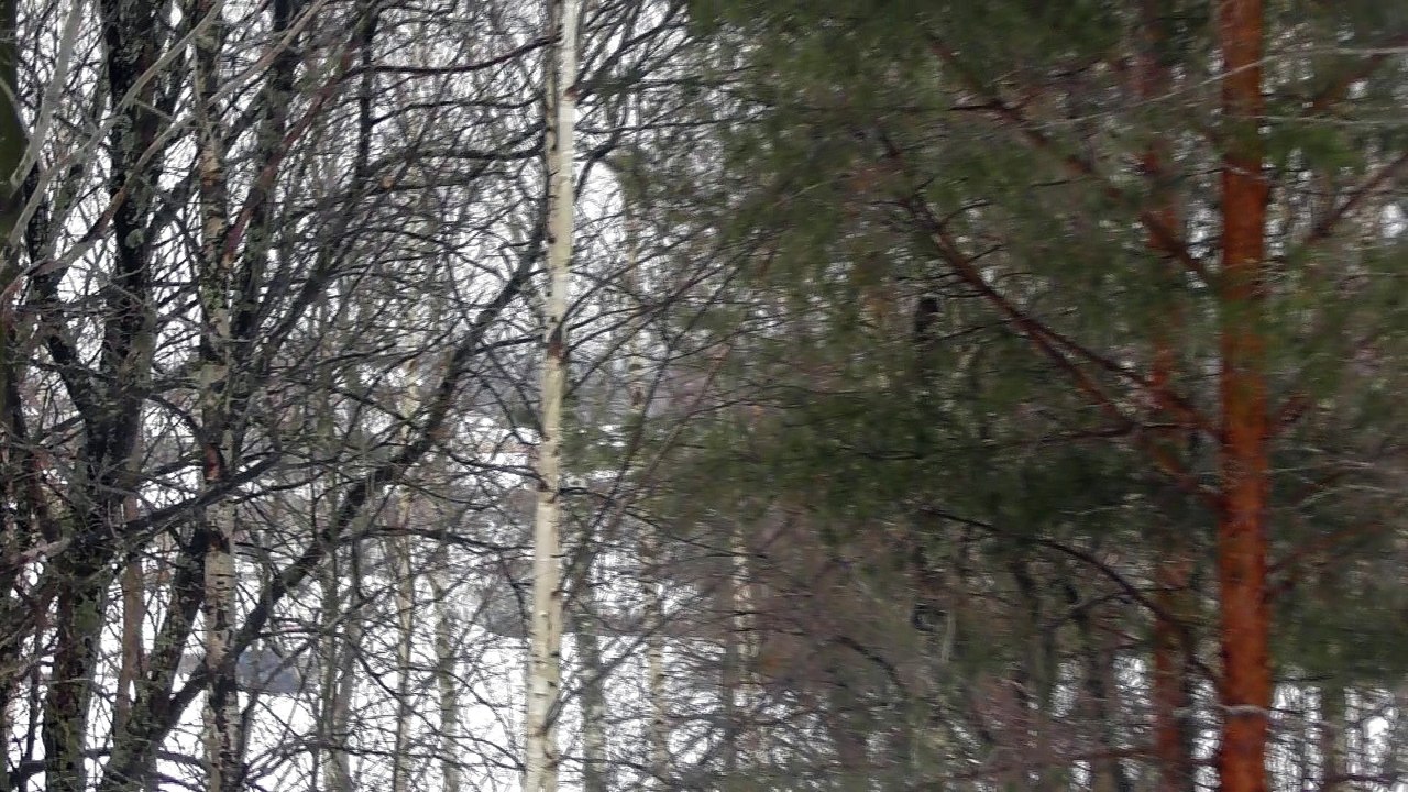 Apr 5 2018 DL1