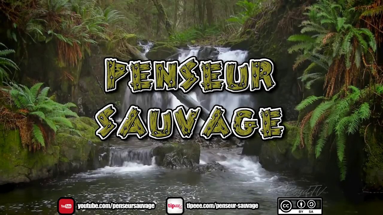 Le biais du zététicien selon Penseur Sauvage & Aldreius