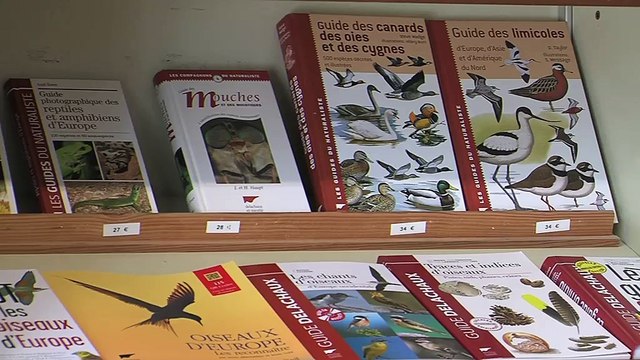 My Provence BELLES ROUTES : Belles routes 19 06 15 - Salins de Giraud/Arles 2/2