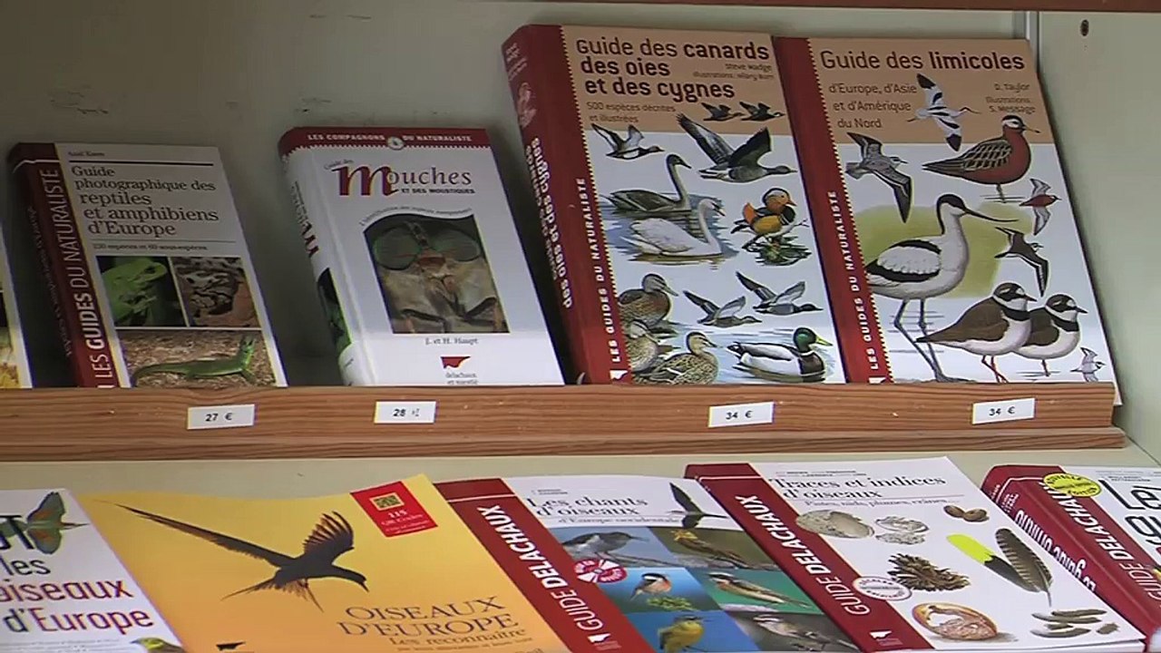 My Provence BELLES ROUTES : Belles routes 19 06 15 - Salins de Giraud/Arles 2/2