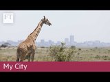 My City: Nairobi