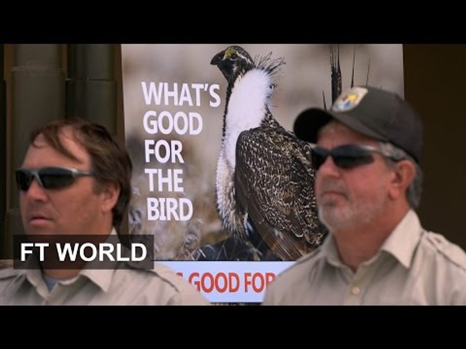 Ranchers vs US government | FT World