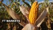 Agricultural products remain oversupplied | FT Markets