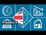 How to trade through Brexit | FT Markets