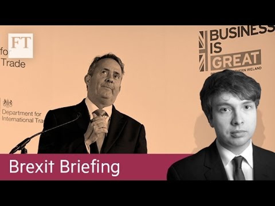 Britain’s ‘clean break’ | Brexit Briefing
