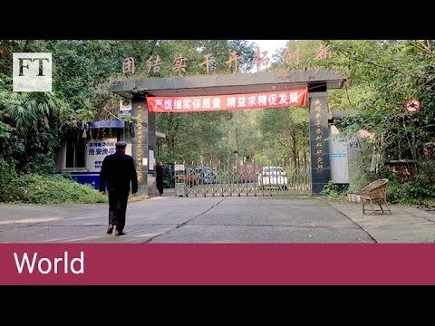 China's future economy: stagnation? | World