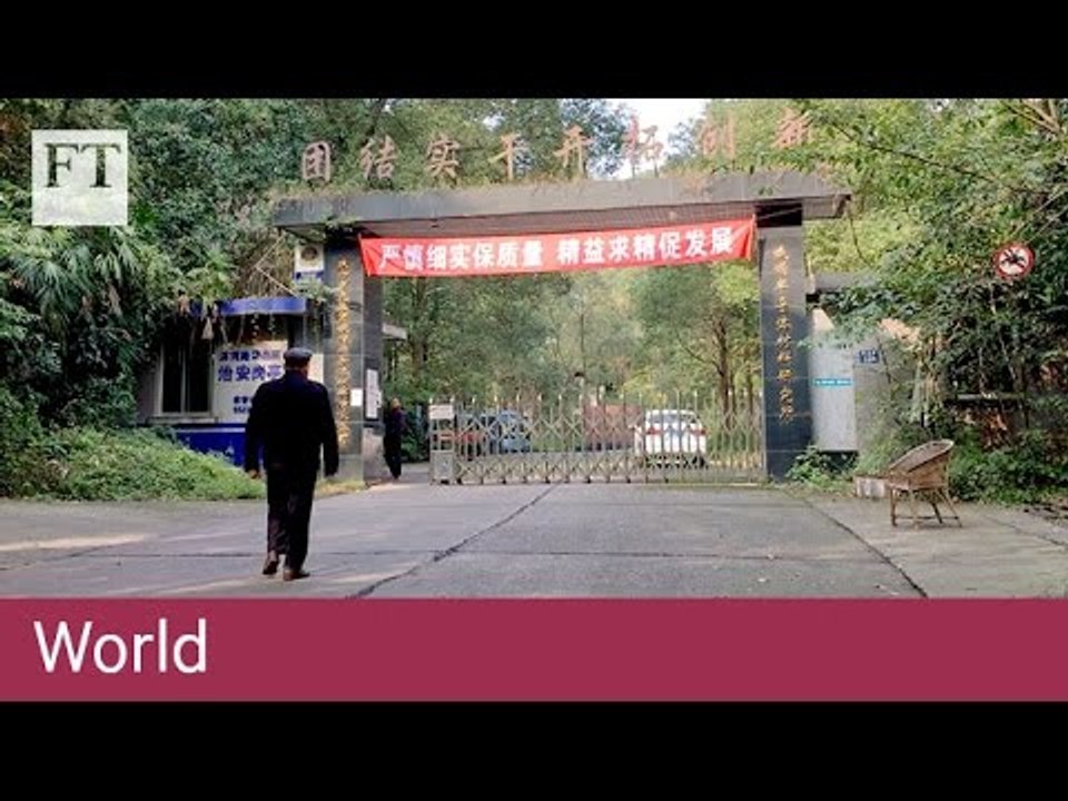 China's future economy: stagnation? | World