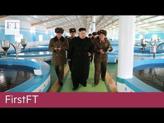 N Korea diplomat suspected, US immigration | FirstFT