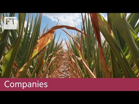 Cargill on Trump and trade | Companies