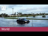 Insurers rally after Hurricane Irma | World