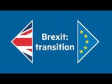 How a transition period after Brexit will work