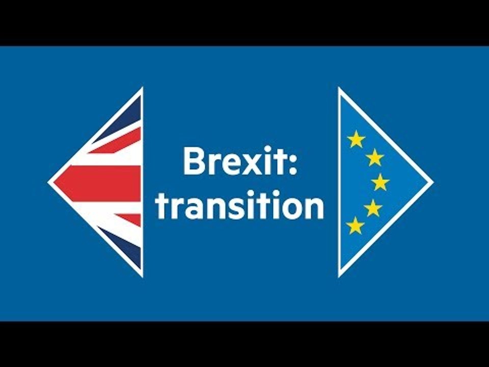 How a transition period after Brexit will work
