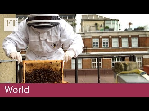 Urban farms on rooftops and underground