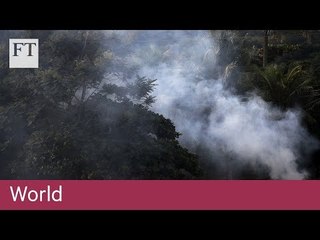 How Brazil's rainforest pays the price of politics