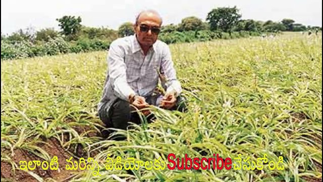 PATANJALI AYURVED CONTRACT FORMING IN TELUGU/ CONTRACT FARMING WITH PATANJALI IN TELUGU | SMALL SCALE INDUSTRY | SSI| VIDEO TRENDZ