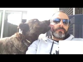 Chilling com El Macho