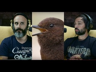 Promo a sério - Diogo Valsassina