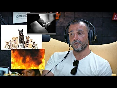 Maluco Beleza - ... Ando a dizer adeus à Maria todos os dias - Nuno Gama (pt3)