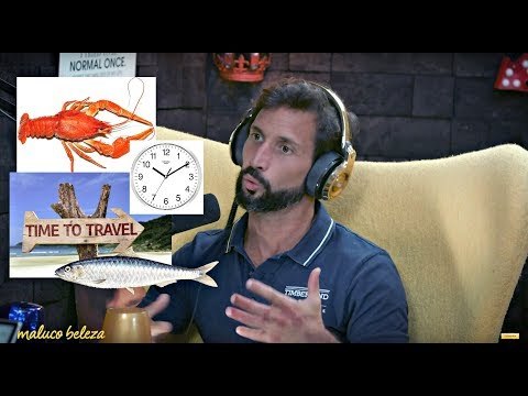 Maluco Beleza - Uma boa sardinha é melhor que uma má lagosta - José Avillez (pt1)