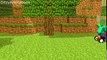 All Minecraft Life - Pig, Creeper, Skeleton, Iron Golem & Block Animations