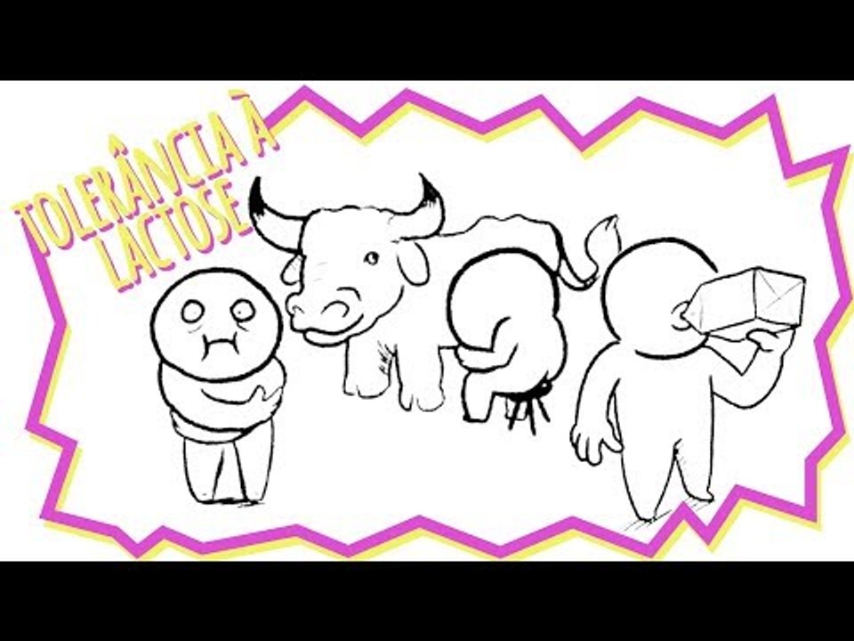 Tolerância à lactose: Evolução, genes e cultura
