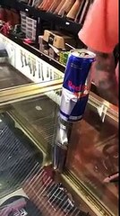 Une souris morte dans un Red Bull