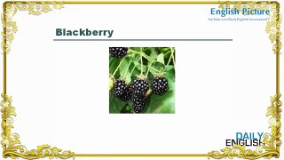 English Picture – Lesson 2 - Fruits Name In English