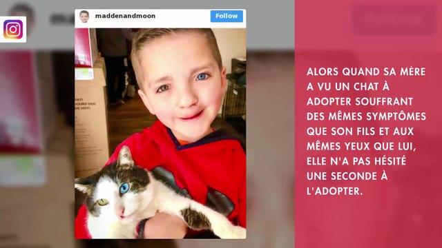L'amitié entre cet enfant et son chat va vous faire fondre