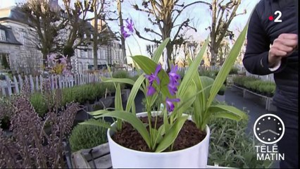 Jardin - Saint-Jean de Beauregard (1ère partie)